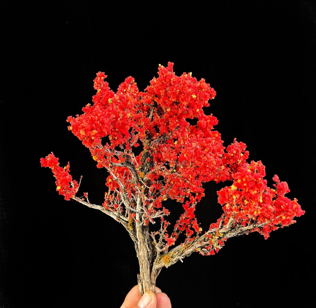 Completed Sagebrush Model Trees Small